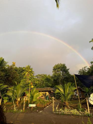 a rainbow in the sky over a house with palm trees at Hibiscus House Nuquí in Nuquí