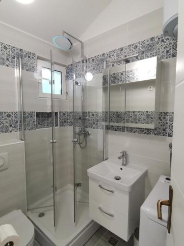 a bathroom with a shower and a sink and a toilet at Accommodation Susović in Lastovo