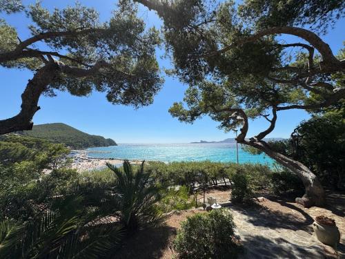 Le Paradis Marin