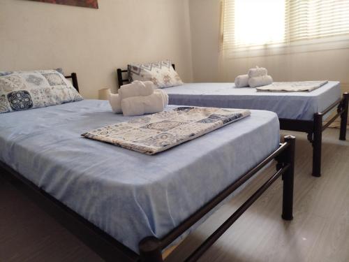 V 24apartment
