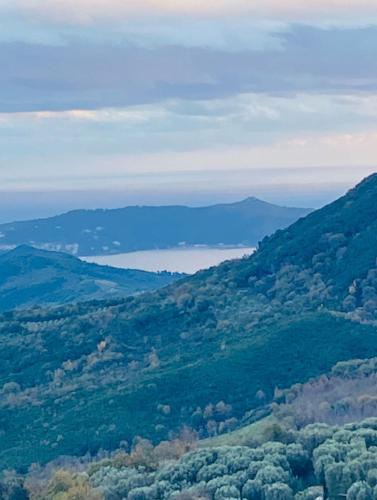 Φυσικό τοπίο κοντά σε αυτός ο ξενώνας