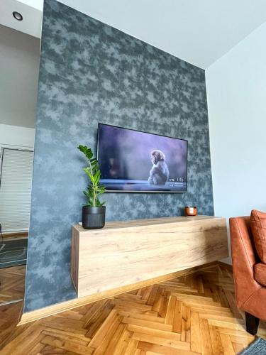 a living room with a flat screen tv on a wall at Kuća za odmor Merkur in Bačka Palanka