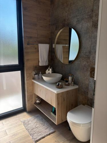 a bathroom with a sink and a mirror and a toilet at Villa Stone House in Debeljaci