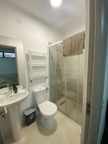 a bathroom with a toilet and a sink and a shower at Casa Rizea in Râmnicu Vâlcea