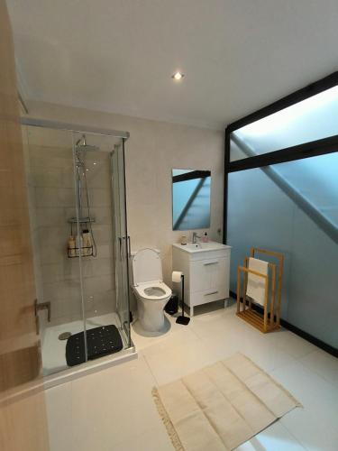 a bathroom with a shower and a toilet and a sink at Apartamento "Vila Serena Marisol" in Corroios