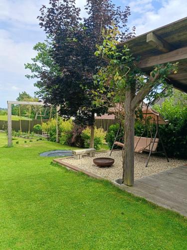 a park with a tree and a bench and a swing at Old Style Cottage in Horní Paseka