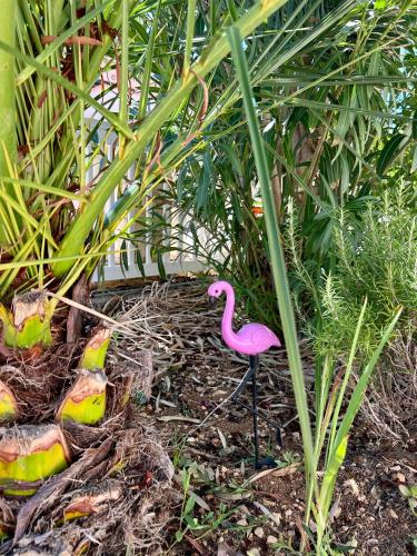 a pink flamingo standing in the middle of some birds at Apartment Azriel in Vir