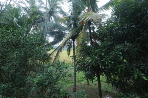 Taman di luar Airport Serenity Villa