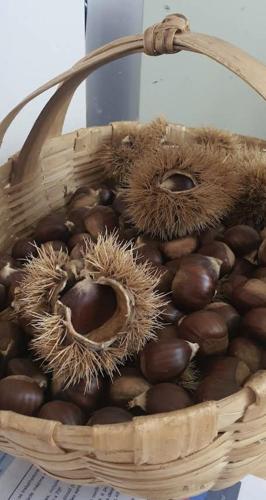 a basket full of chestnuts sitting on a table at Hotel Medieval® de Penedono in Penedono