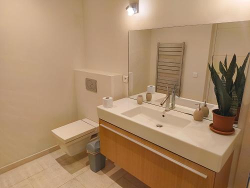 Quiet Private Garden Suite with Pool