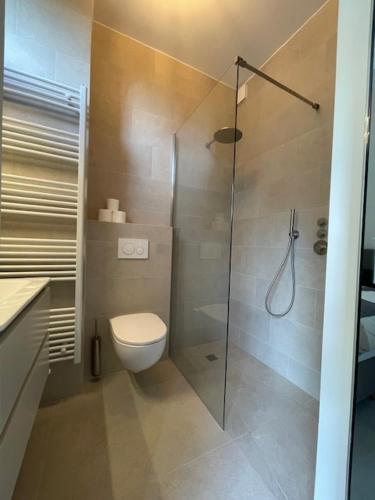 a bathroom with a toilet and a glass shower at Villa Belvedere Panorama Lakeview - Lago di Como in Menaggio