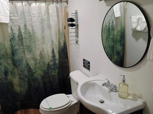 a bathroom with a toilet and a sink and a mirror at Wild Mountain Lodge in Sevierville