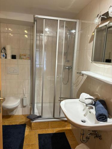 a bathroom with a shower and a sink and a toilet at Appartement Unterstein 1 in Niedernsill