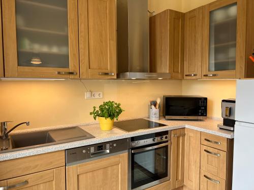 a kitchen with wooden cabinets and a sink and a refrigerator at Ferienwohnung am Maximilianpark Hamm in Hamm