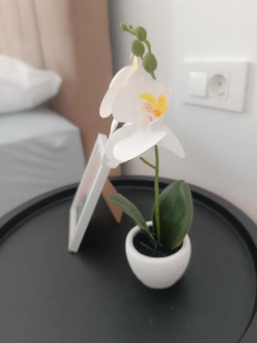 Postel nebo postele na pokoji v ubytování Apartman Sara