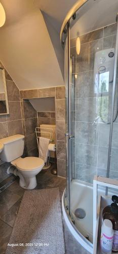 a bathroom with a toilet and a shower at Lovely Commodious, Private Charming Studio, En Suite in Hillsborough