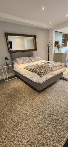 a bedroom with a large bed with a mirror on the wall at Lovely Commodious, Private Charming Studio, En Suite in Hillsborough