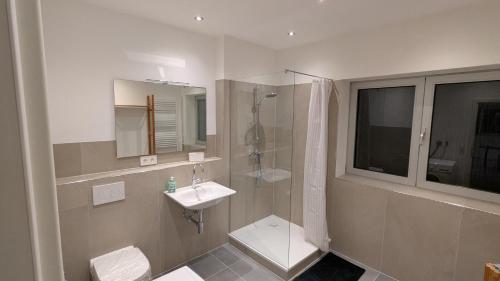 Un baño blanco con lavabo y ducha. en Nord 37, en Annweiler am Trifels