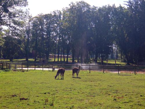 Gallery image of Ferienhaus nahe WINSTONgolf Schwerin, cleaning included in Wendorf