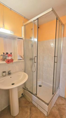 a bathroom with a shower and a sink at Pieds dans l'eau F2 pointe du bout trois-Ilets in Lazaret