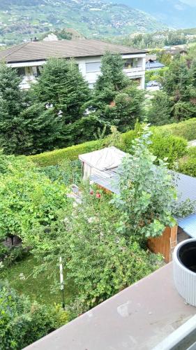 a view of a yard with bushes and trees at U casrddu in Grône