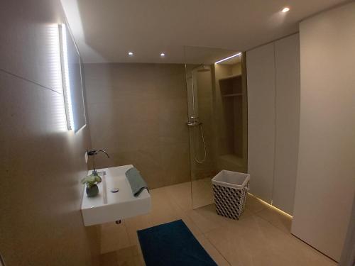 a bathroom with a sink and a shower at WS Ferienwohnung in Wolfurt