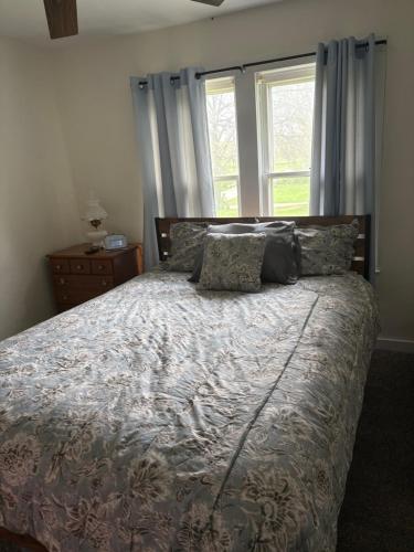 a bedroom with a bed with pillows and a window at Sonnys place in Washington