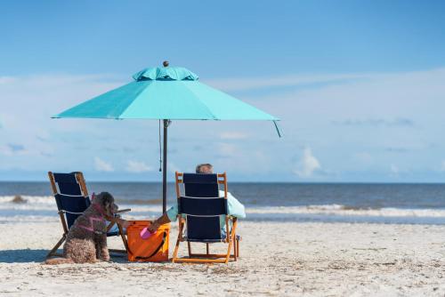 a person and a dog sitting in chairs under an umbrella on the beach at Coastal Charm with Canal Views - 419 Tarpon Blvd, Fripp Island in Fripp Island