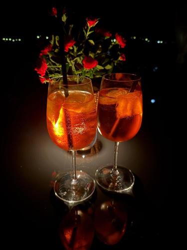 two wine glasses sitting next to a vase of flowers at Mobile House Mona in Drage