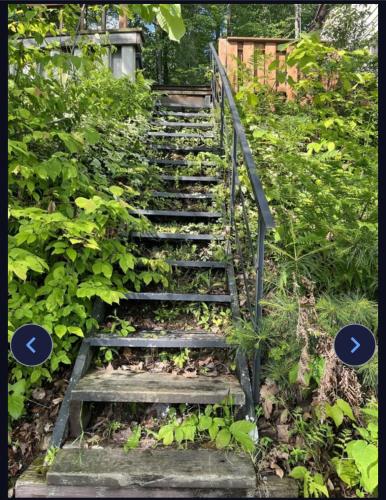 a set of stairs in a garden with the words gardener at Camp Lake Bear in South Colton