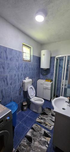 Ένα μπάνιο στο Apartman Hushida