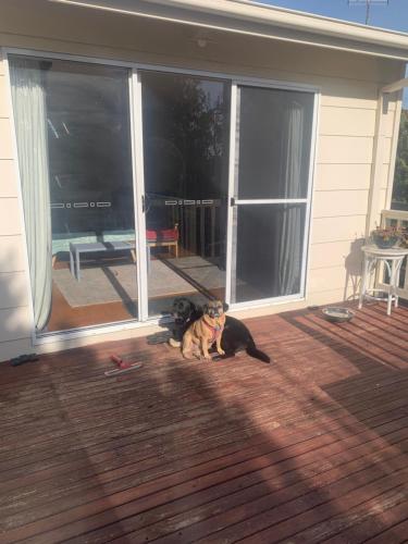 a dog sitting next to a dog laying on a porch at Phillip Island Central Cowes Pet Friendly Wifi Linen Towels Included Beach House in Cowes