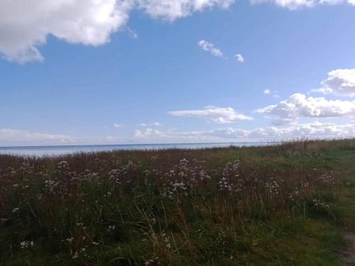 a field of grass with the ocean in the background at 6 person holiday home in Hadsund-By Traum in Hadsund