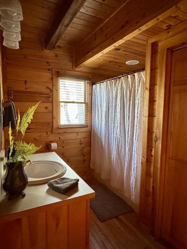a bathroom with a sink in a wooden cabin at The Tree House- Wifi- Firepit- 2 Fireplaces-Garden Tub-Free Activities in Morganton