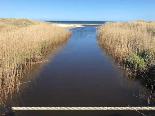 a river in the middle of a field with grass at 5 person holiday home in Ålbæk-By Traum in Ålbæk
