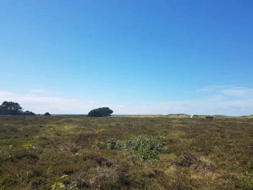 a field of grass with trees in the distance at 6 person holiday home in Læsø-By Traum in Læsø