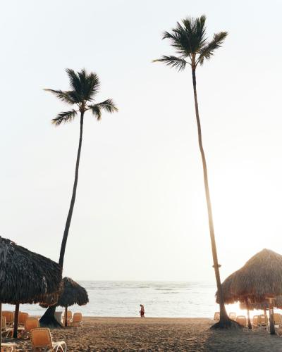two palm trees on a beach with chairs and umbrellas at Laguna & Villas Residence in Playa Blanca