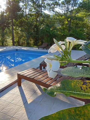 a wooden bench sitting next to a swimming pool at Jungle View Resort in Ko Chang