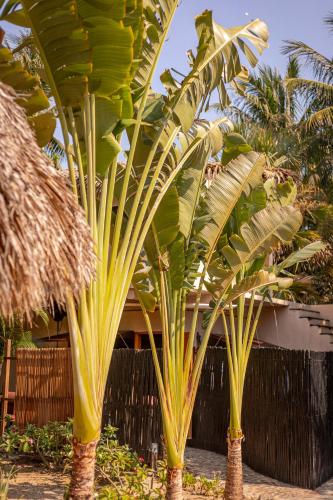 a group of palm trees in front of a building at Casa Lu Hotel Boutique in Mazunte