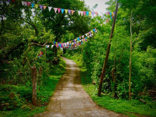 a dirt road with flags in a forest at Finca Montaña Sagrada in Mérida