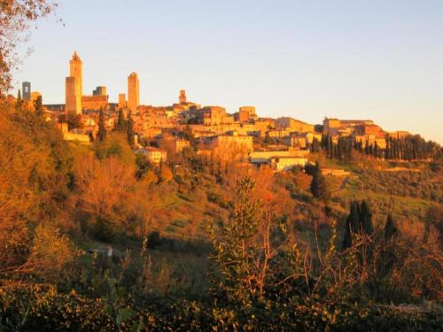 a city on top of a hill with buildings at Montana Escape, Tuscan Stay in Chiusdino
