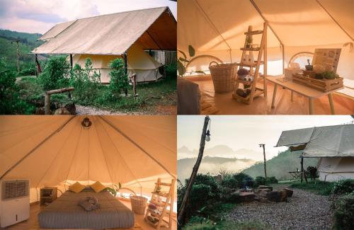 a collage of four pictures of a tent at Camping phutajoy Khaosok แคมป์ปิ้งภูตาจ้อยเขาศก in Ban Thung Lang Tham
