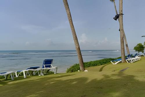 a group of chairs and palm trees on the beach at Caribbean Sunscape Beachfront Apartment in La Puntica de Juan Dolio