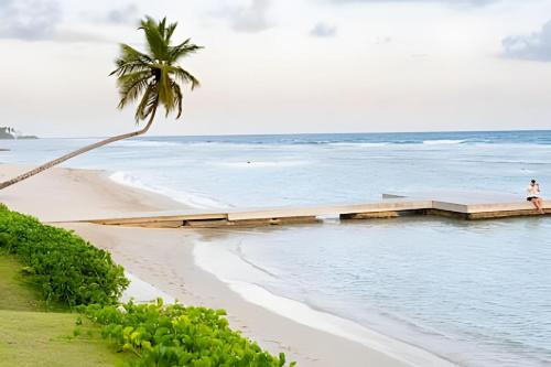 a beach with a palm tree and the ocean at Caribbean Sunscape Beachfront Apartment in La Puntica de Juan Dolio