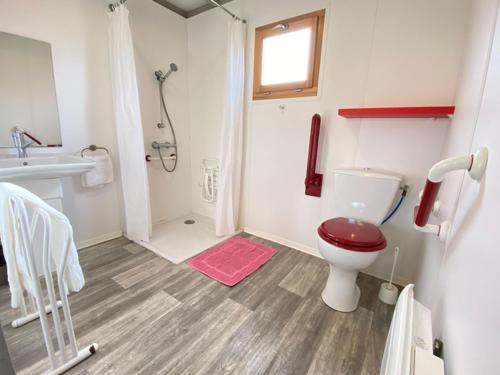 Ένα μπάνιο στο Chalet PMR avec Terrasse - 4 Pers, 2 Chambres - API-1-52-596