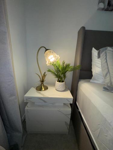a bedside table with a lamp and two plants on it at Lakemeadow in Princeton