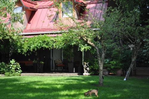 a dog laying in the grass in front of a house at Garden House in Courtenay