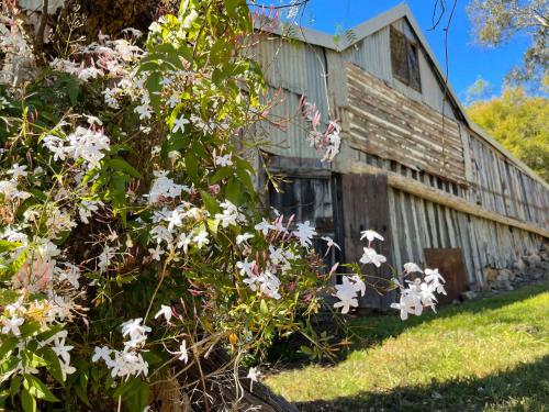 an old barn with flowers in front of it at Capers Cottage and Barn Accommodation in Wollombi