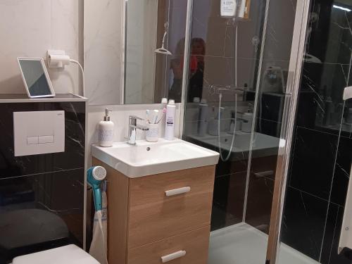 a bathroom with a sink and a shower with a mirror at Maisonnette 4 pers, proche plage et commerces, parking - FR-1-476-247 in La Faute-sur-Mer