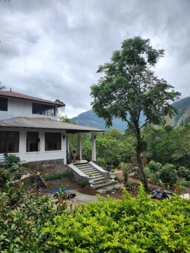a white house with stairs and a tree at The Villa at Galapitiyaya Estate in Haputale
